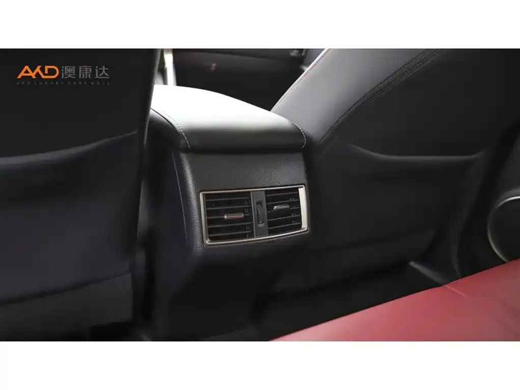Lexus NX 2021 из CN, фото 2