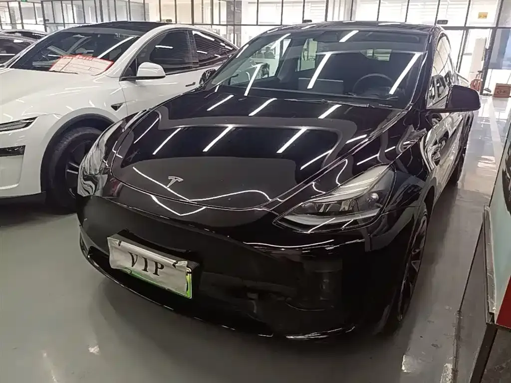 Tesla Model Y — фото 9