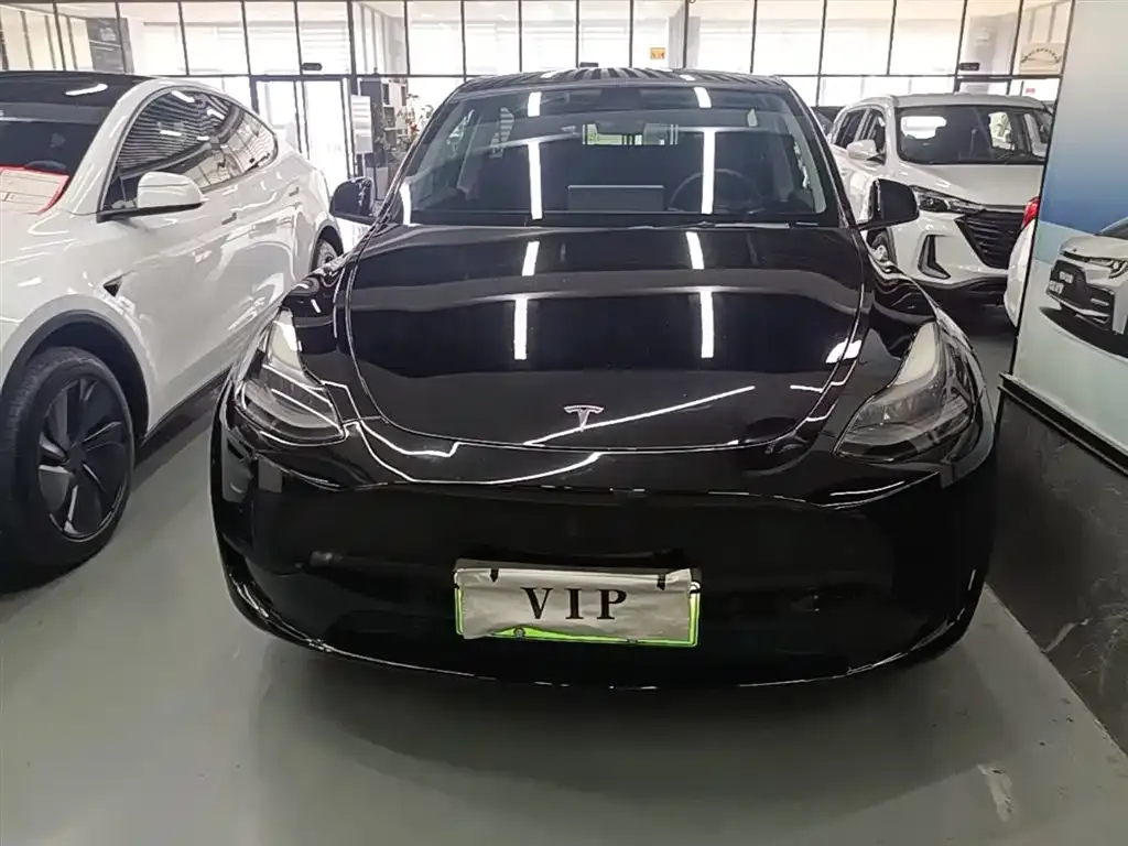 Tesla Model Y — фото 8