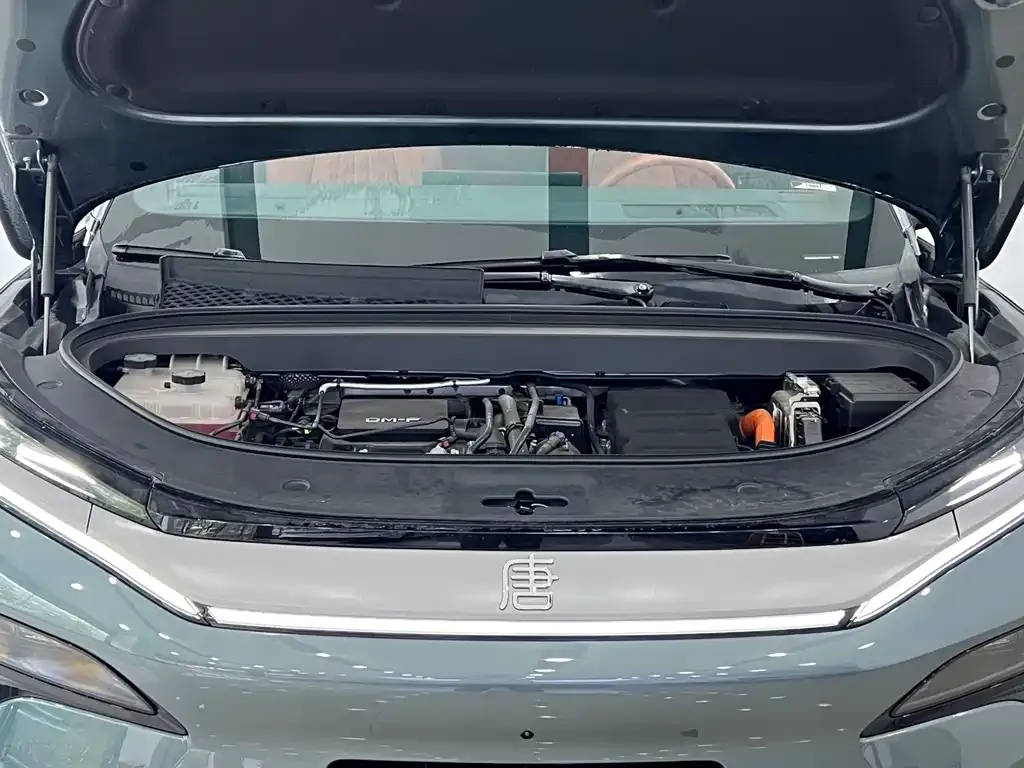 BYD Tang L 2025 из CN, фото 9