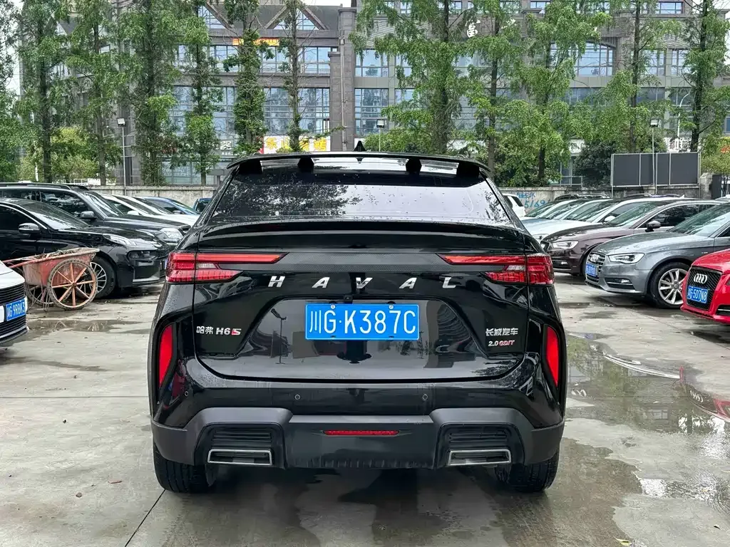 Haval H6S 2022 из CN, фото 9