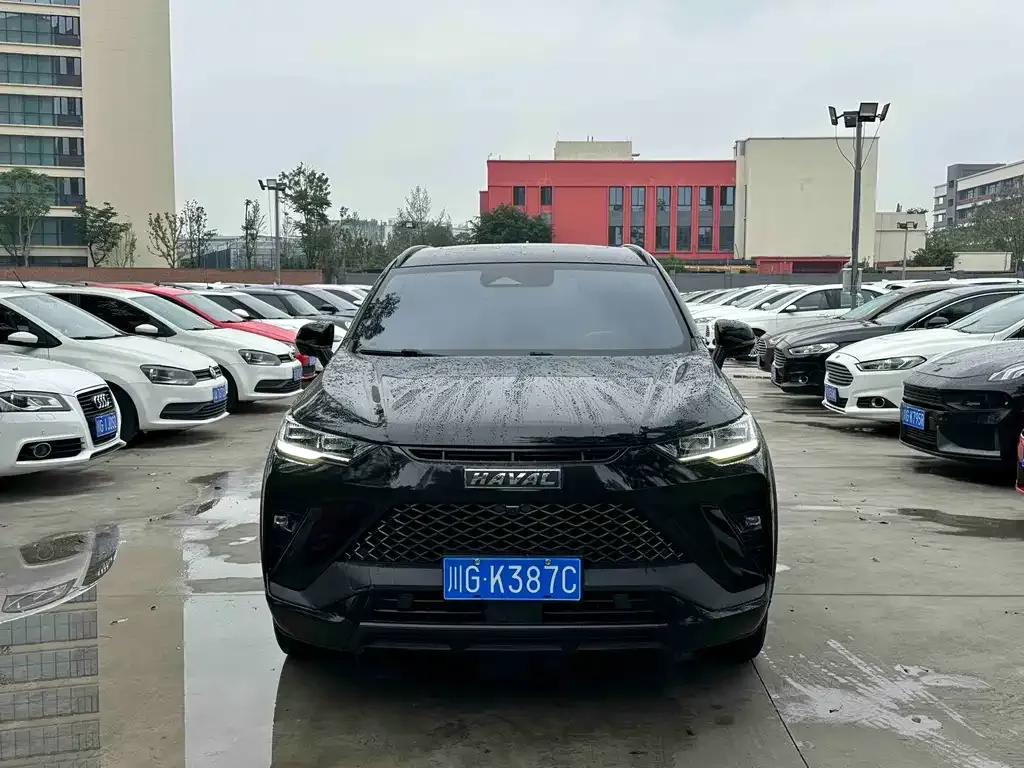 Haval H6S 2022 из CN, фото 3