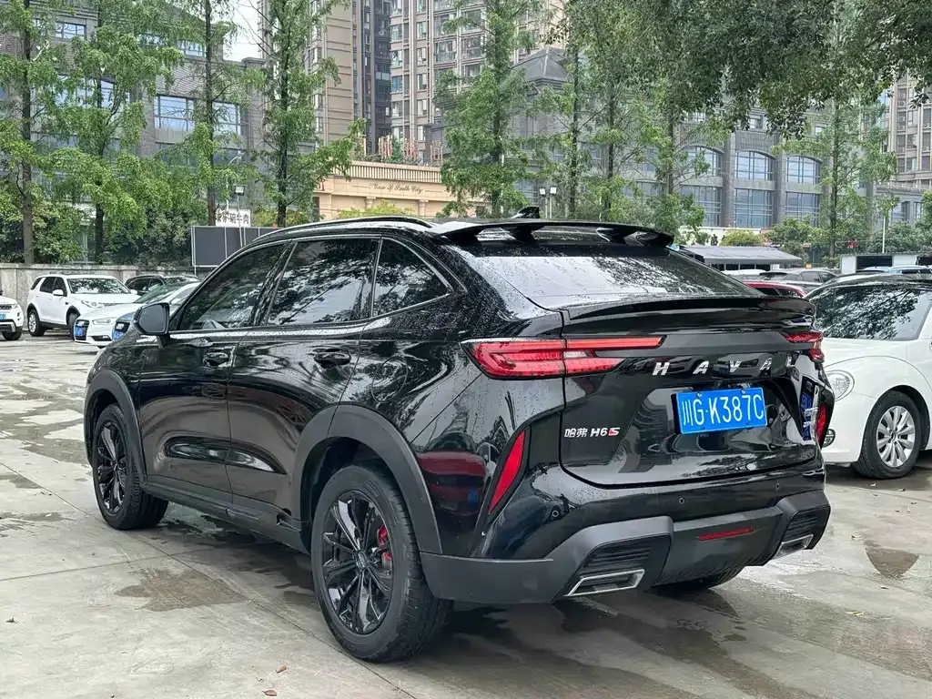 Haval H6S 2022 из CN, фото 10