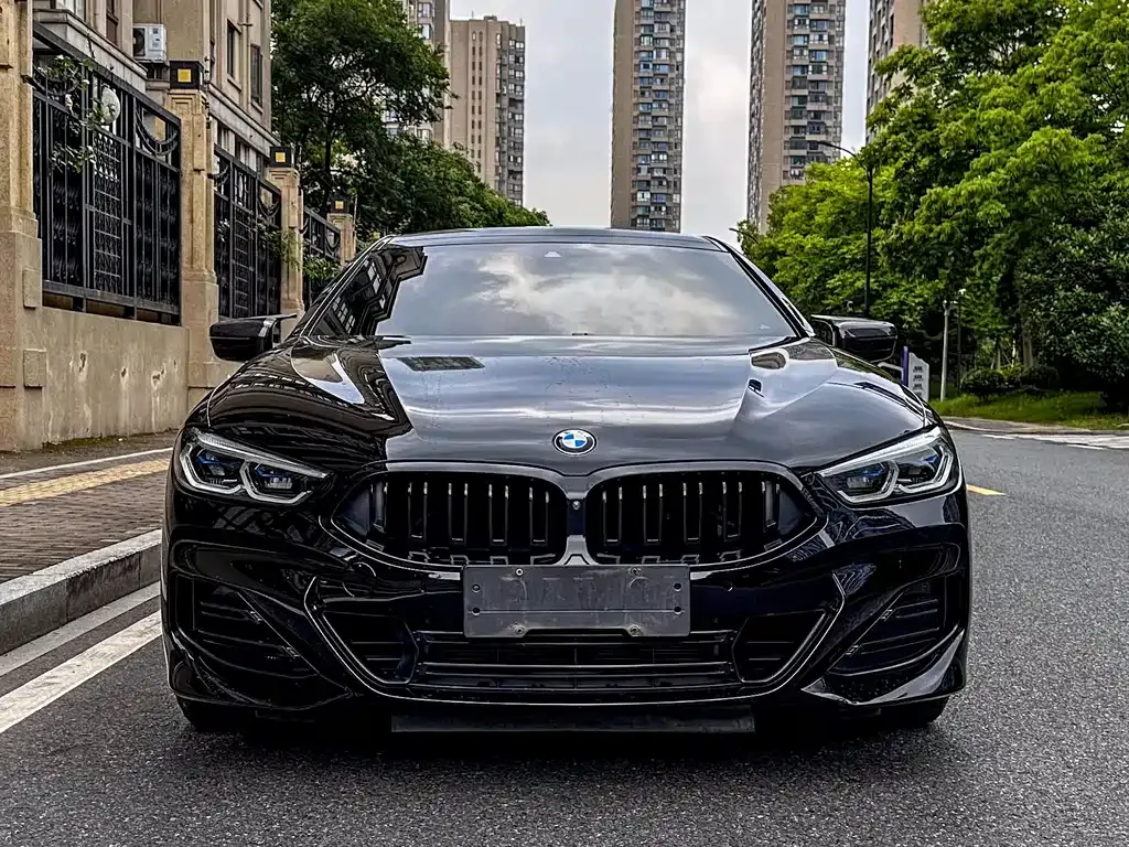BMW 8 Series — фото 3