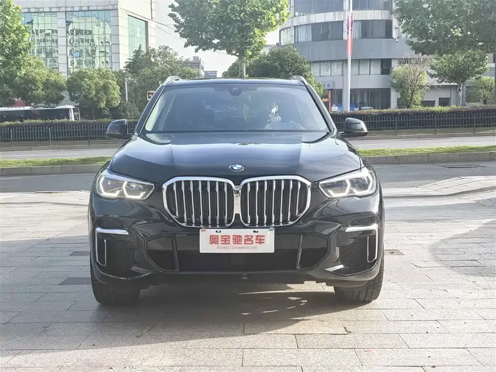 BMW X5 2023 из CN, фото 4