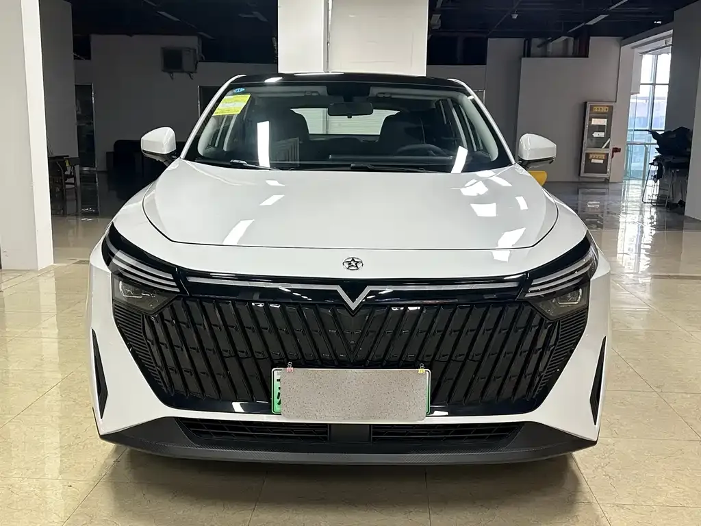 Venucia V DD-i 2024 из CN, фото 3