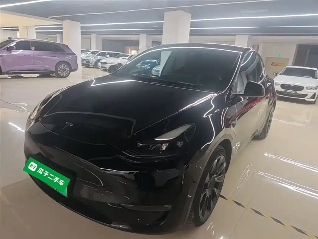 Tesla Model Y — фото 10