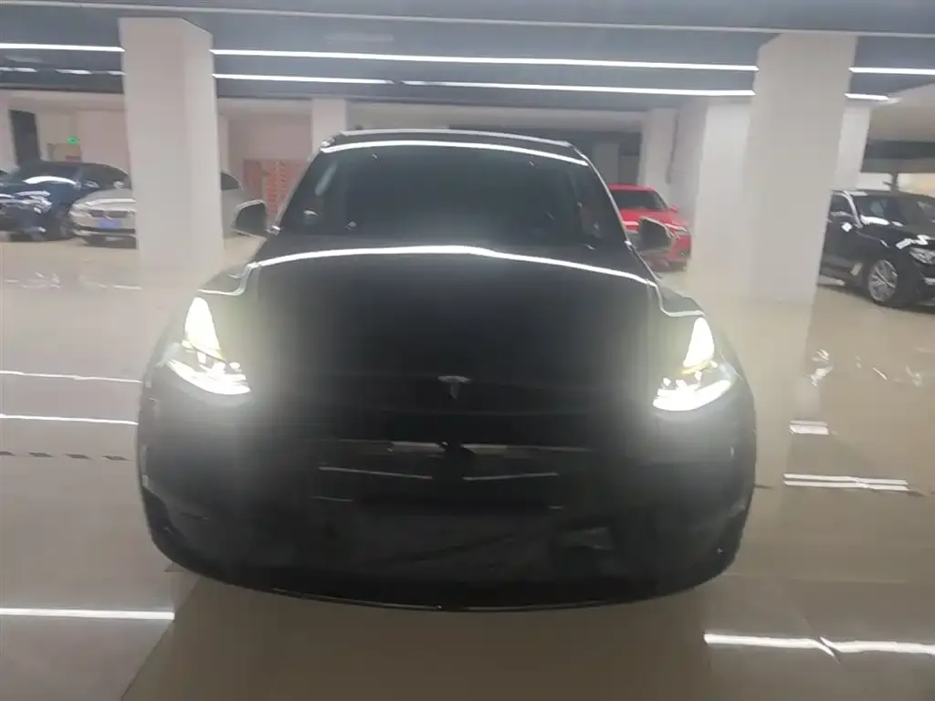 Tesla Model Y — фото 2