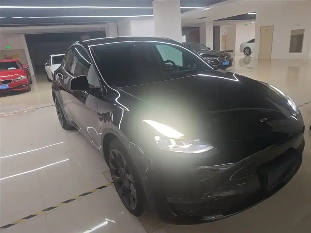 Tesla Model Y — фото 5
