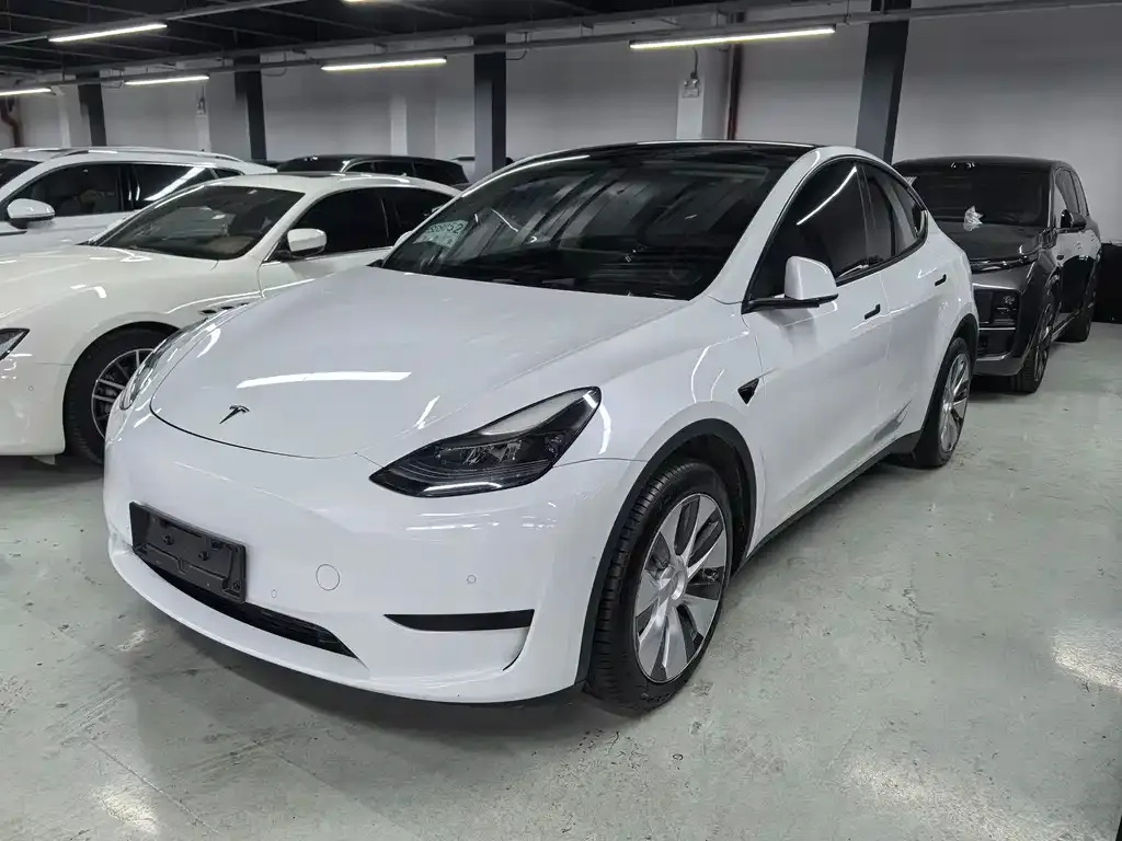 Tesla Model Y — фото 1