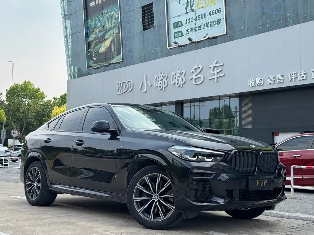 BMW X6