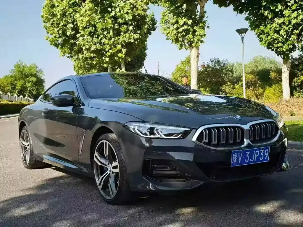 BMW 8 Series 2024 из CN, фото 9