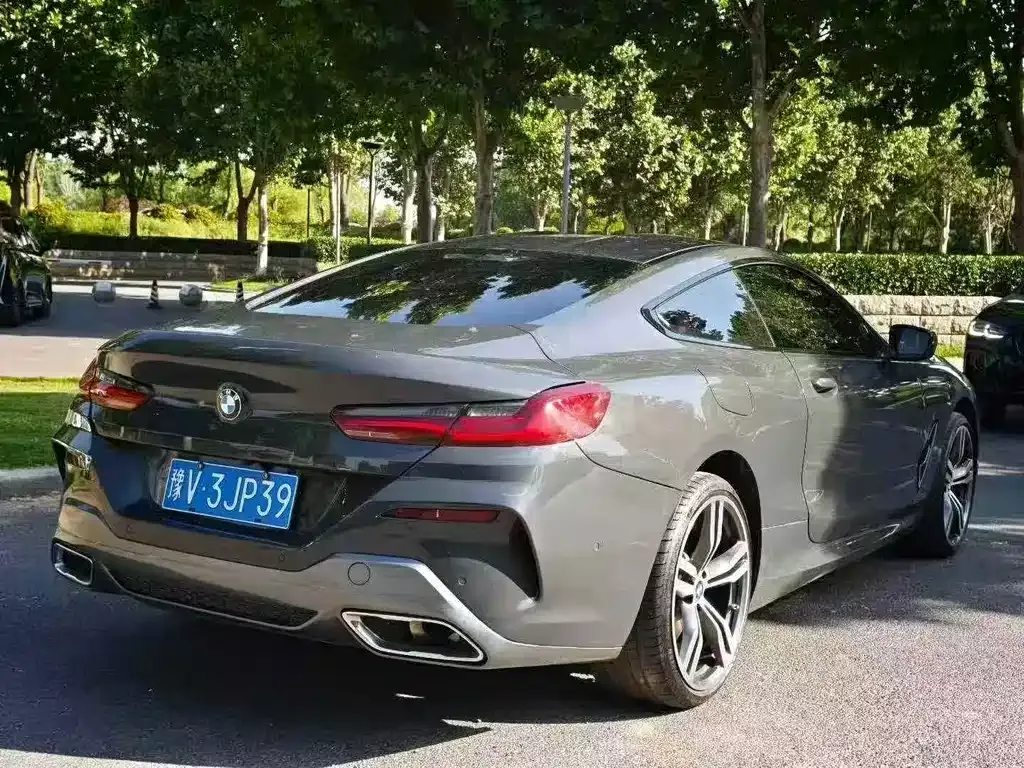 BMW 8 Series 2024 из CN, фото 5