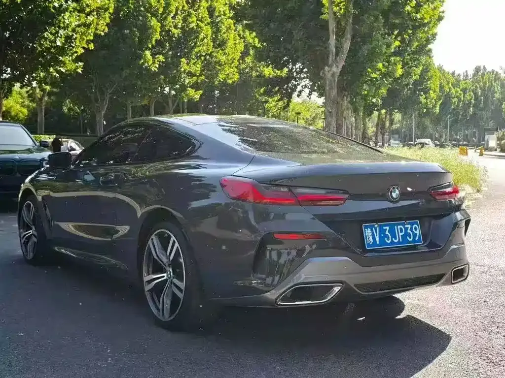 BMW 8 Series 2024 из CN, фото 6