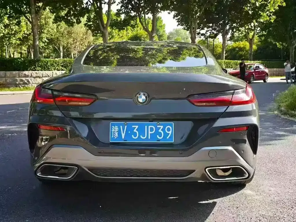 BMW 8 Series 2024 из CN, фото 3