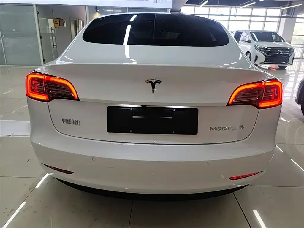 Tesla Model 3 2023 из CN, фото 4