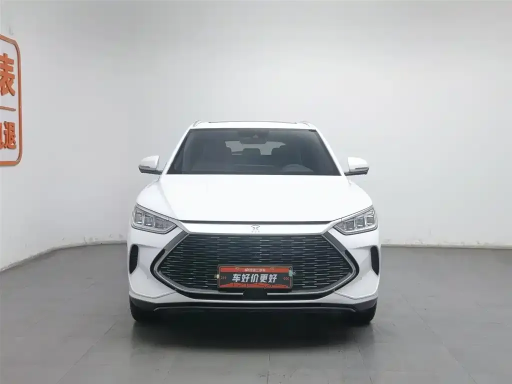 BYD PLUS New Energy — фото 2