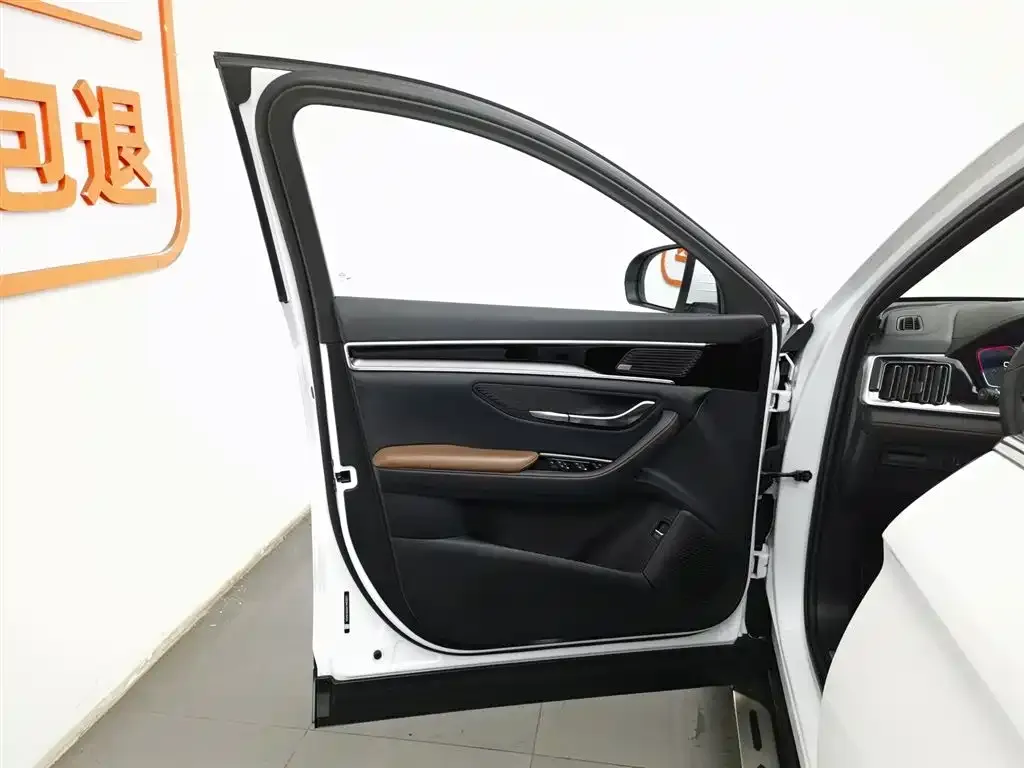 BYD PLUS New Energy — фото 8
