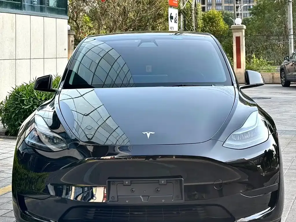 Tesla Model Y — фото 6