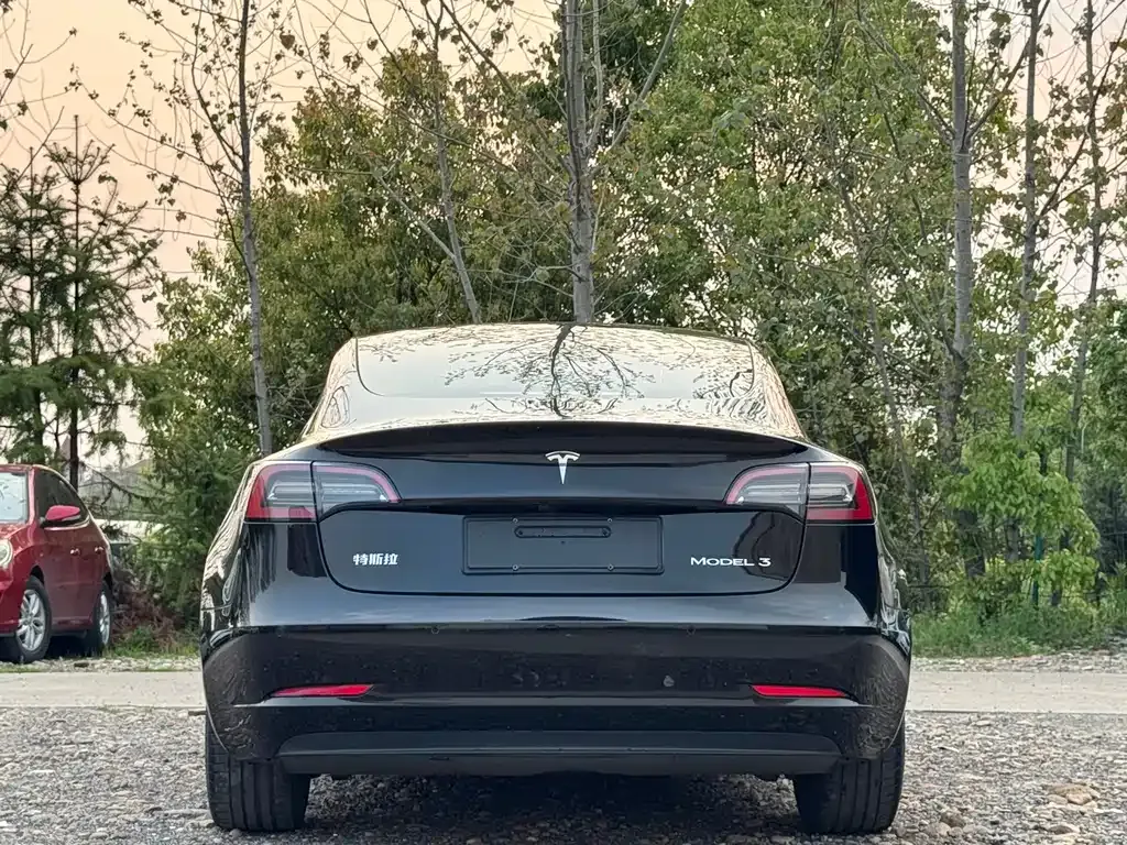 Tesla Model 3 — фото 4