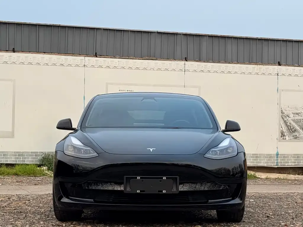 Tesla Model 3 — фото 2