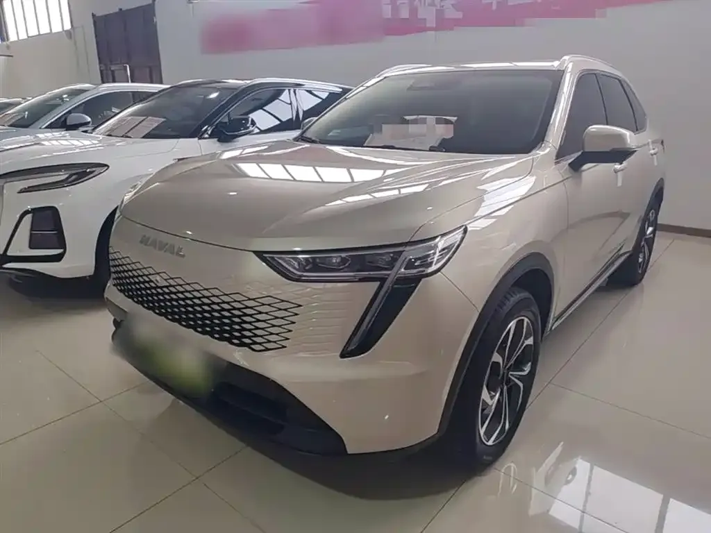Haval Xiaolong MAX 2023 из CN, фото 10
