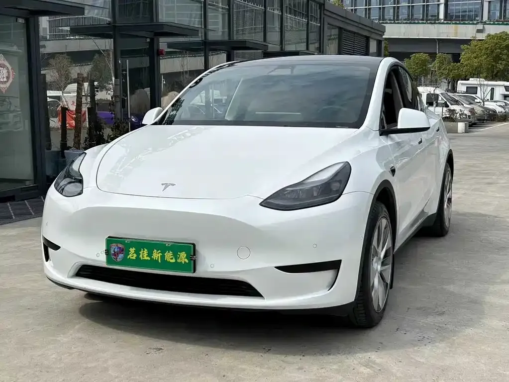 Tesla Model Y — фото 1