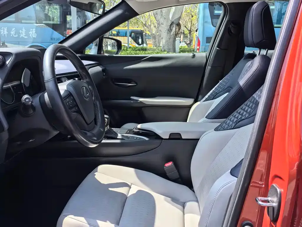 Lexus UX 2021 из CN, фото 3