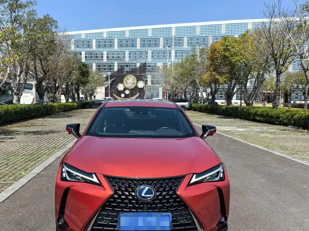 Lexus UX 2021 из CN, фото 4