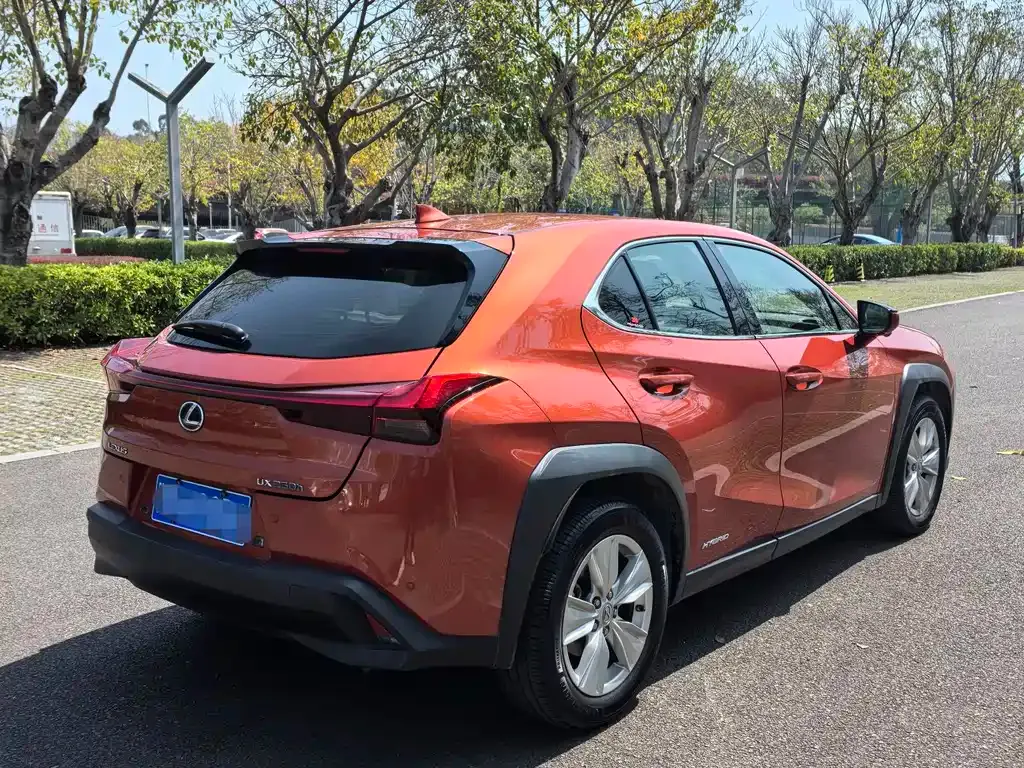 Lexus UX 2021 из CN, фото 7