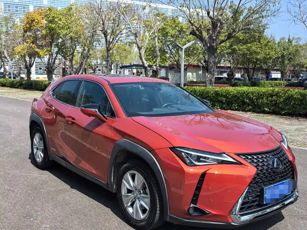 Lexus UX 2021 из CN, фото 9
