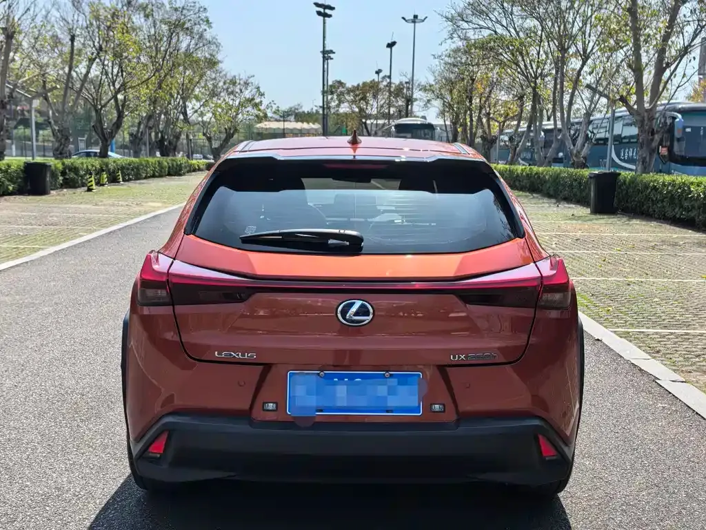 Lexus UX 2021 из CN, фото 8