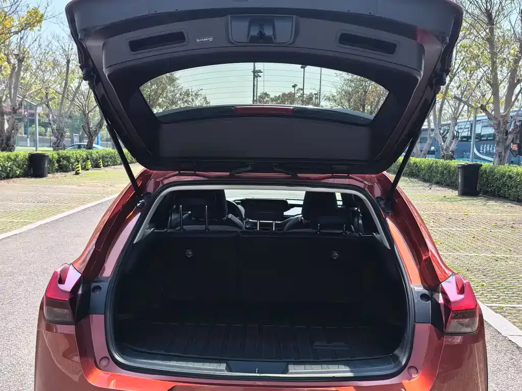 Lexus UX 2021 из CN, фото 2