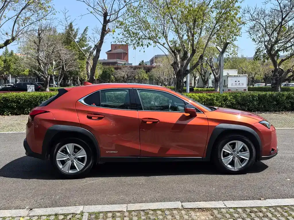 Lexus UX 2021 из CN, фото 10