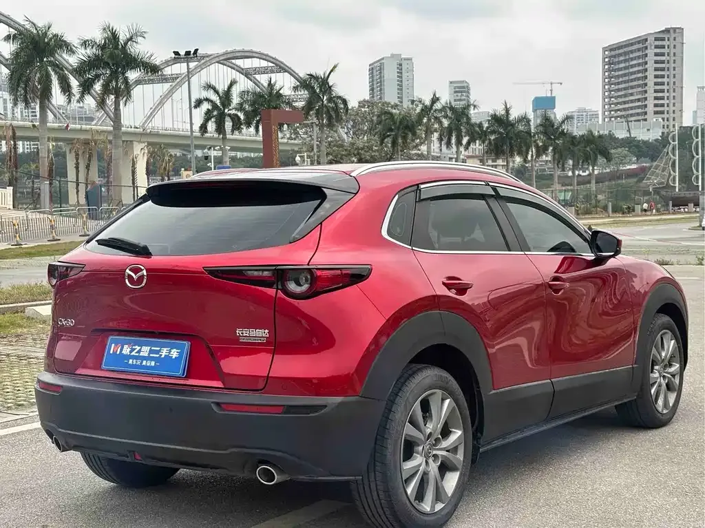 Mazda CX-30 2021 из CN, фото 6