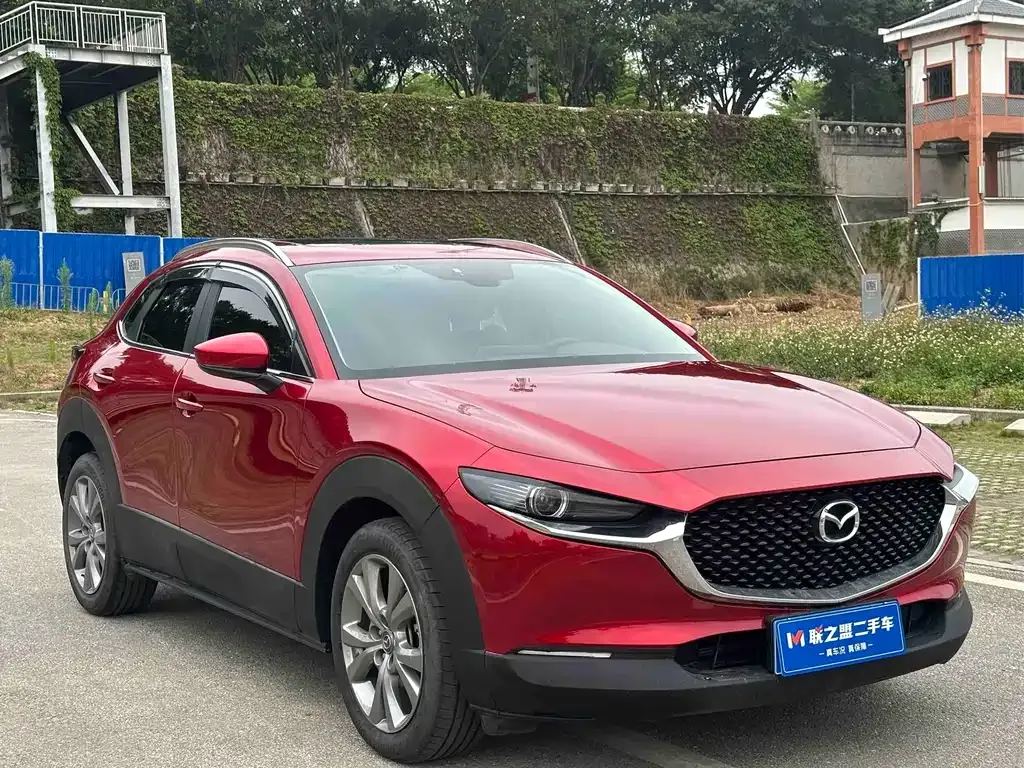 Mazda CX-30 2021 из CN, фото 10