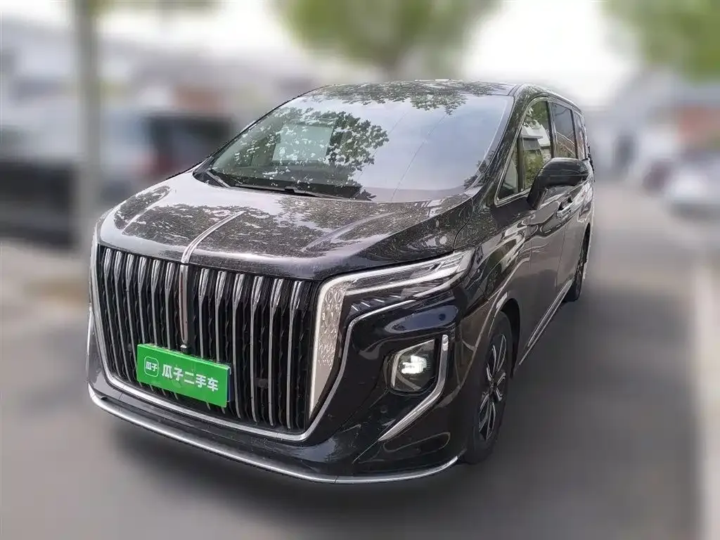 Hongqi HQ9 2023 из CN, фото 10