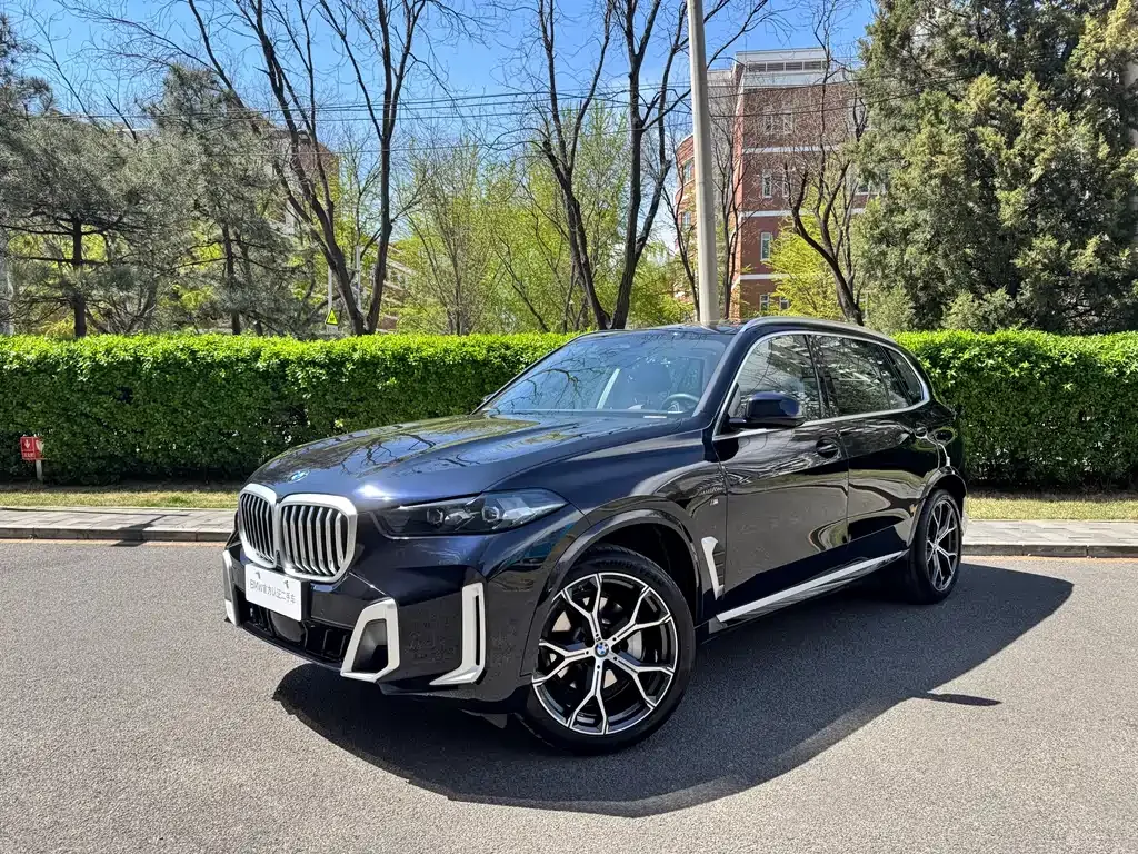 BMW X5 2025 из CN, фото 1