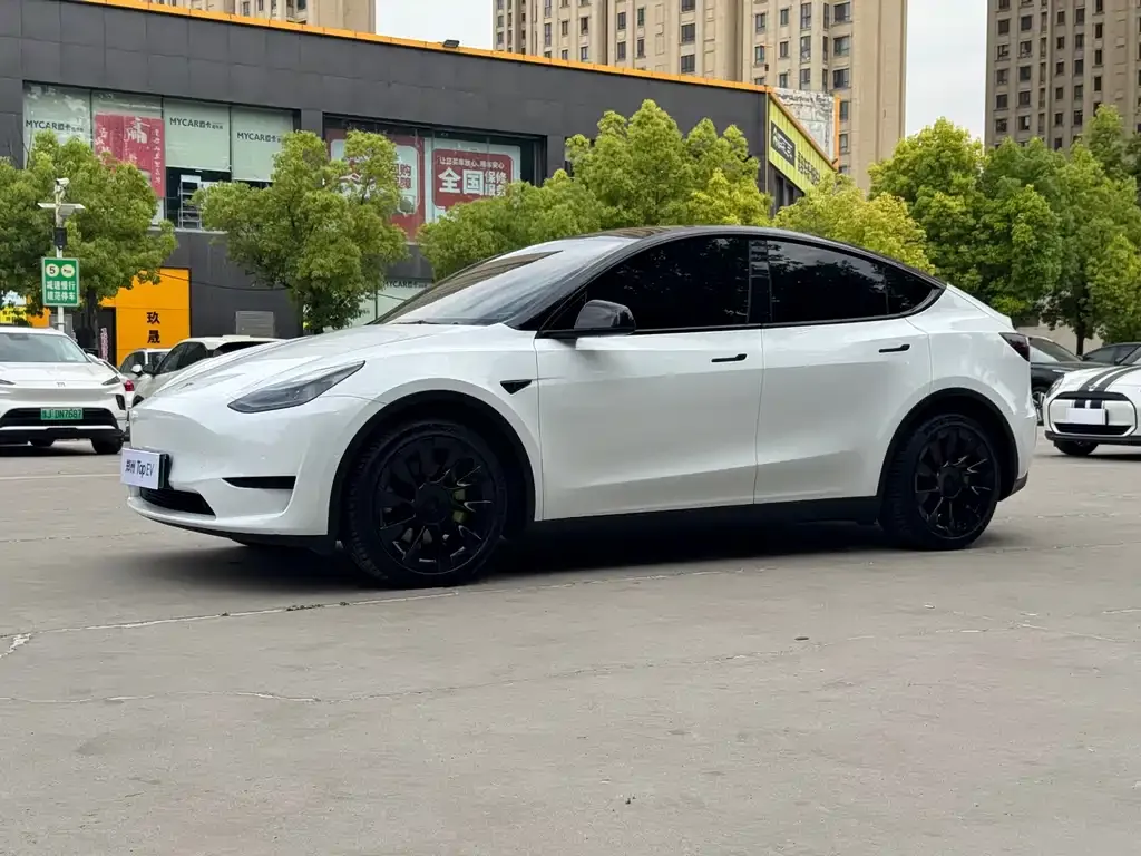 Tesla Model Y — фото 1