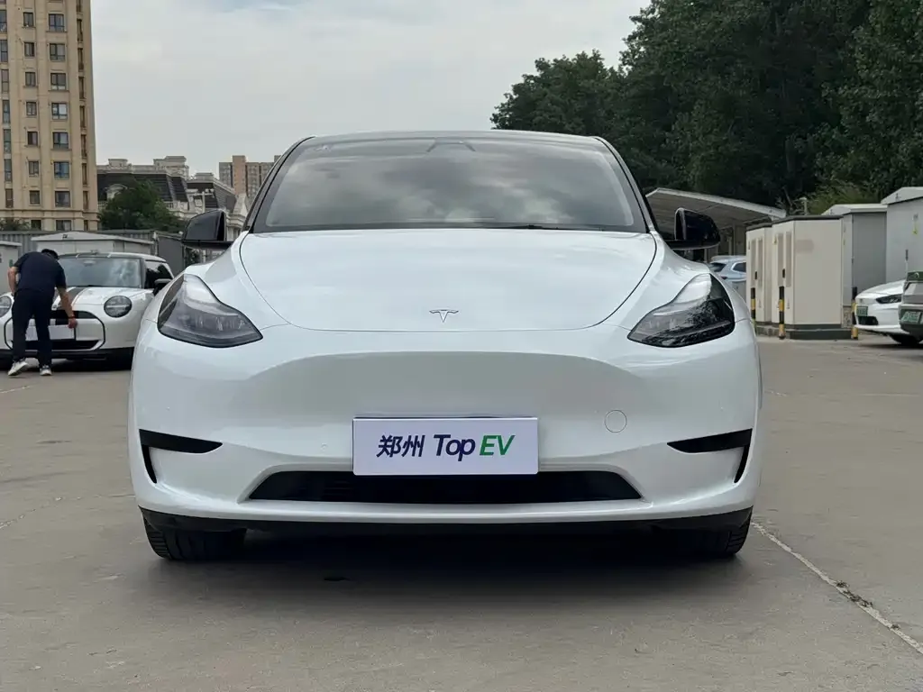 Tesla Model Y — фото 3