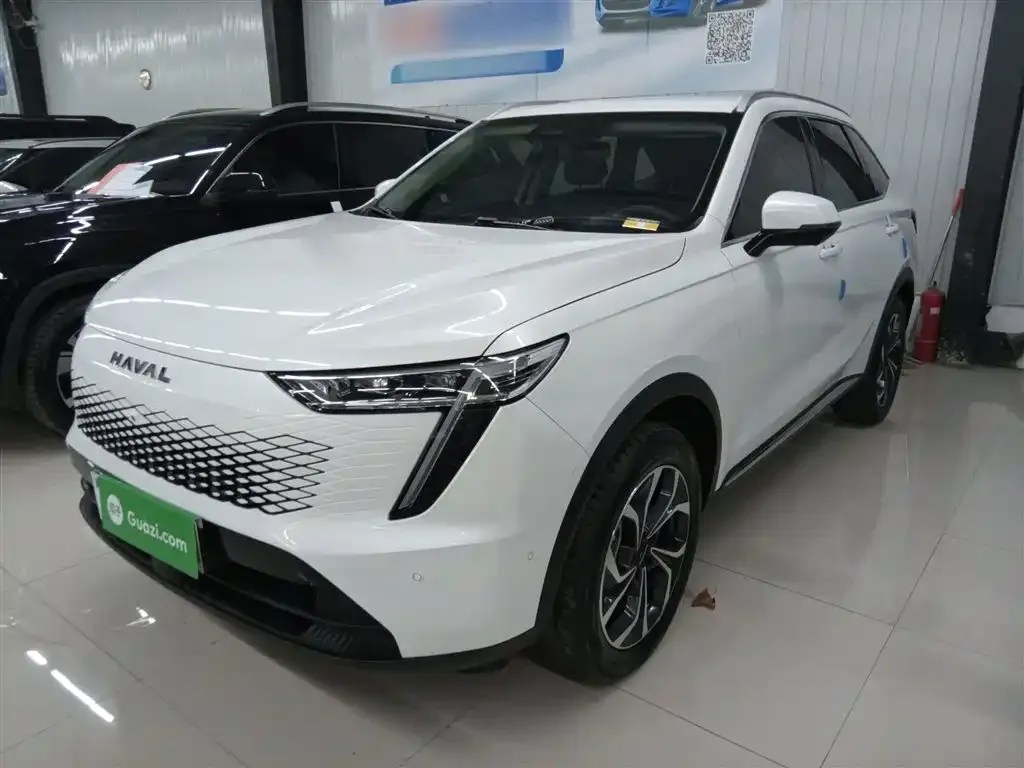 Haval Xiaolong MAX 2024 из CN, фото 5