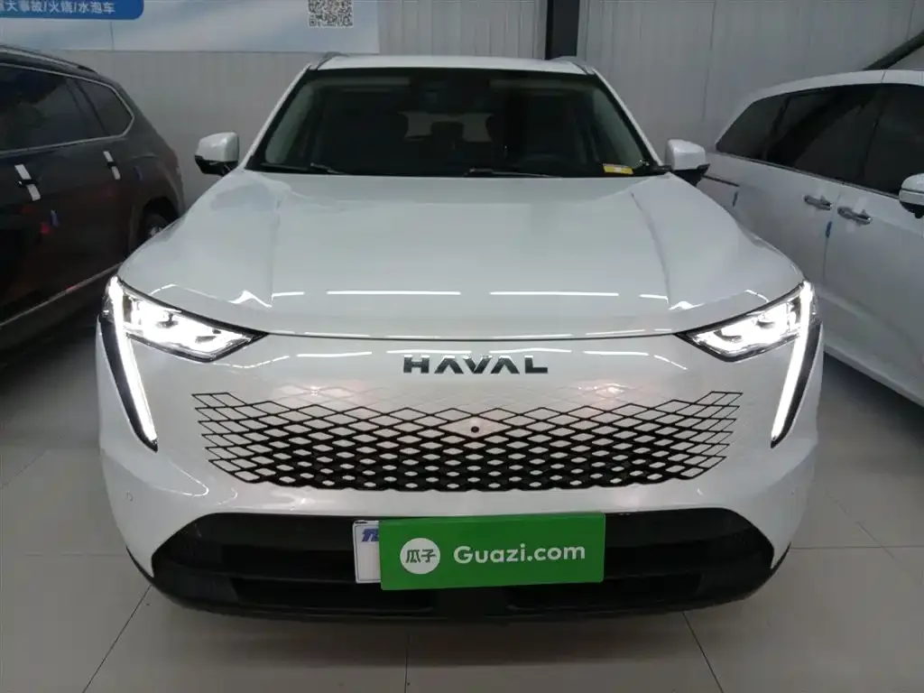 Haval Xiaolong MAX 2024 из CN, фото 6