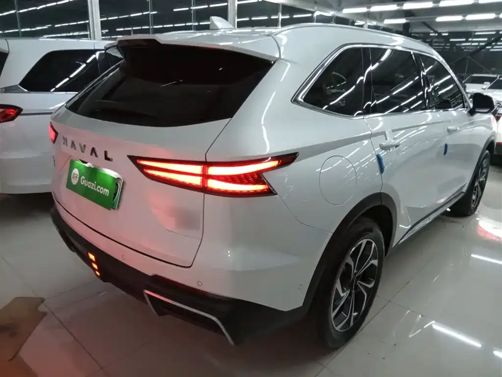 Haval Xiaolong MAX 2024 из CN, фото 8