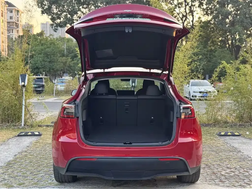 Tesla Model Y — фото 10