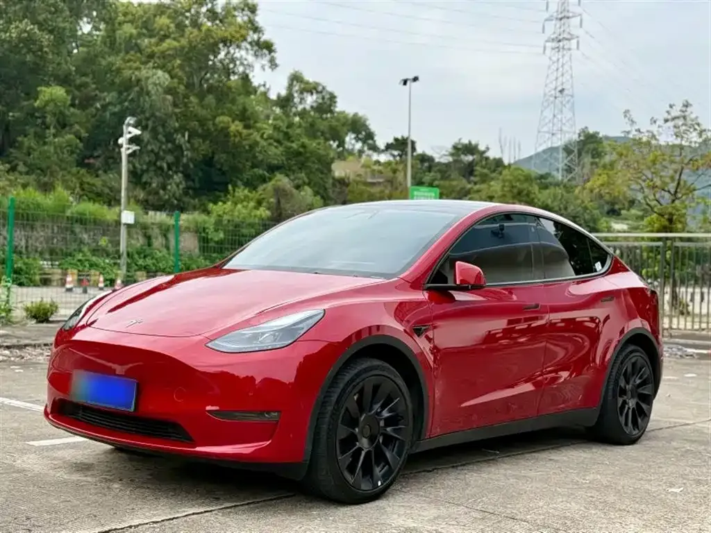 Tesla Model Y — фото 9