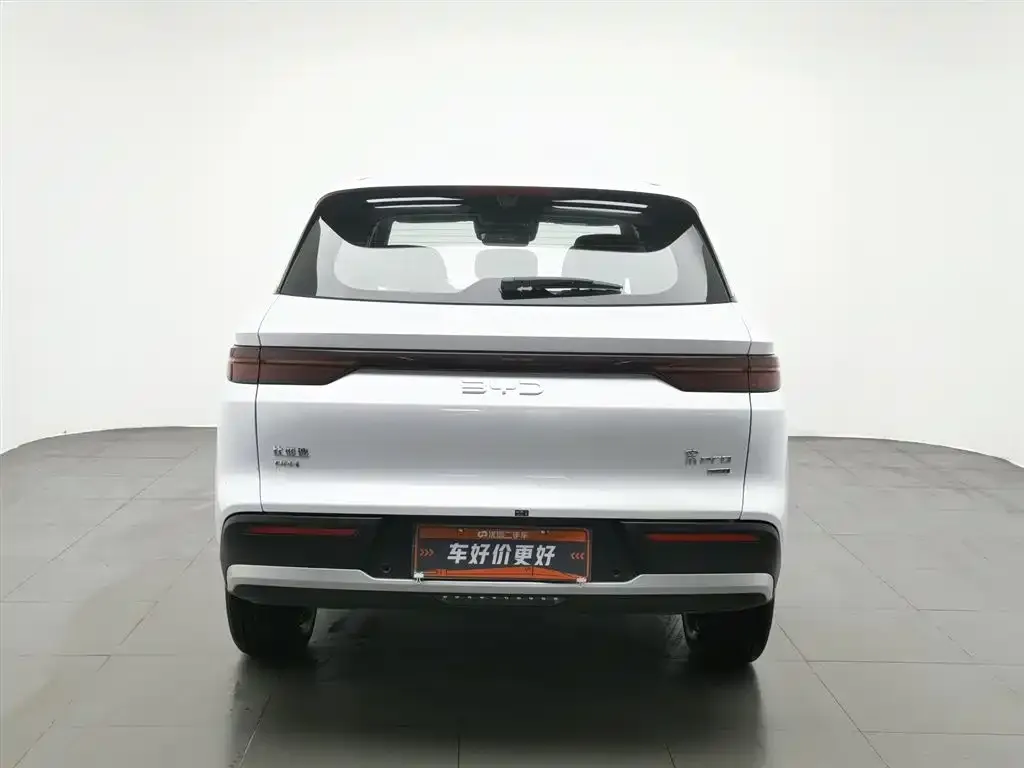 BYD Pro New Energy — фото 5