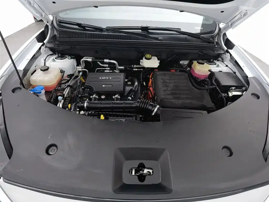 BYD Pro New Energy — фото 9