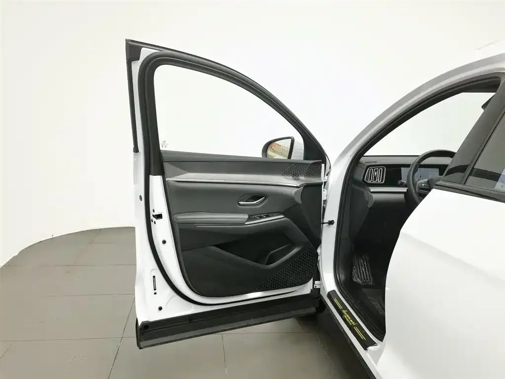 BYD Pro New Energy — фото 2