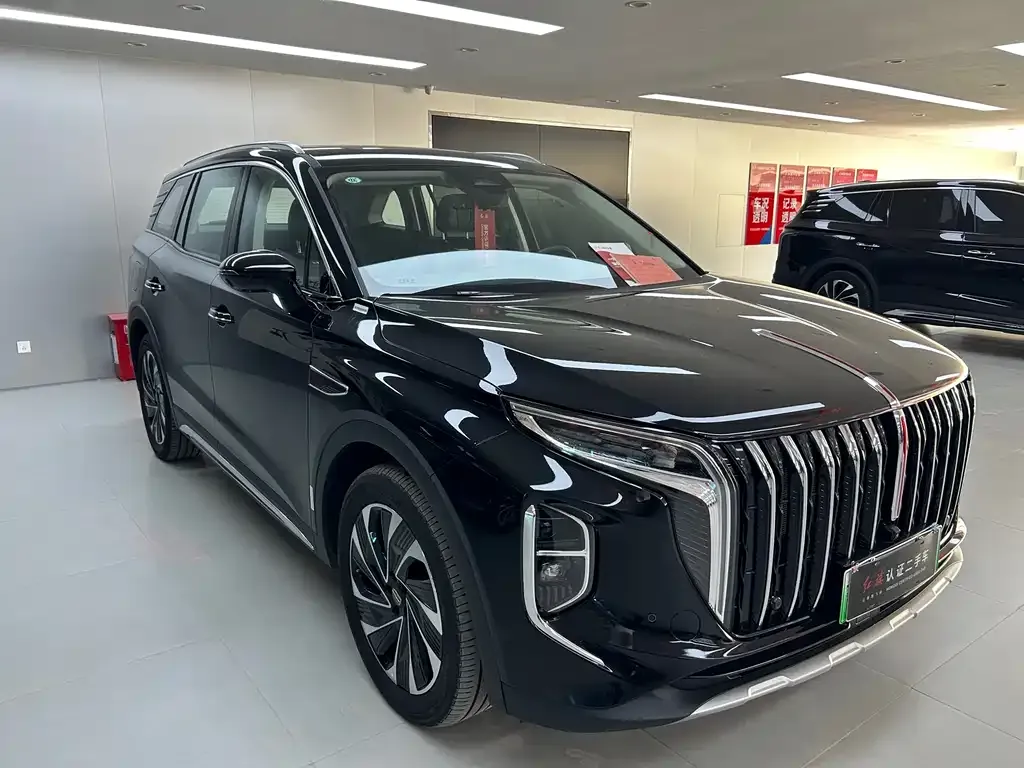 Hongqi HS7 PHEV 2024 из CN, фото 3