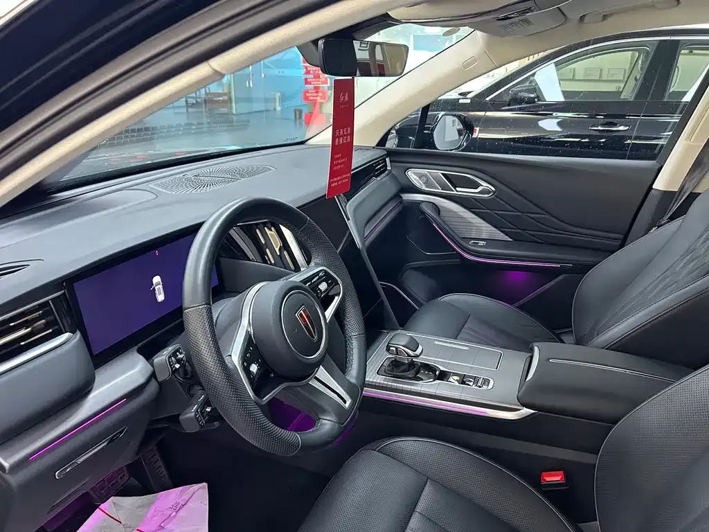 Hongqi HS7 PHEV 2024 из CN, фото 10